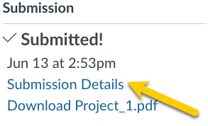 screenshot of student view of viewing submission details